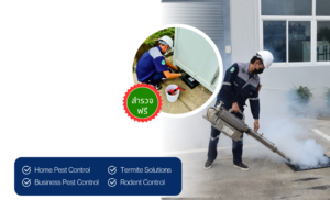 บริษัท ทีพีบัก แอนด์ ซีซีทีวี จำกัด