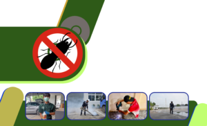 บริษัท ทีพี บักส์ แอนด์ ซีซีทีวี จำกัด