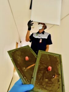 549800054_1347325710107322_6318287608176040523_n