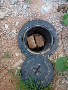 timeline_20240402_161713